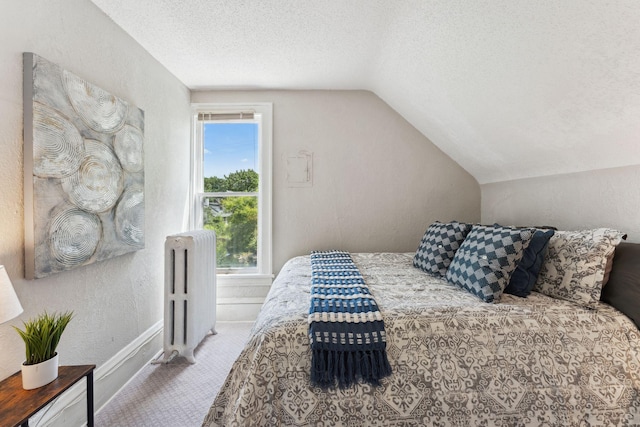 1404 Russell Ave N, Minneapolis, MN 55411 - carpeted bedroom with radiator, vaulted ceiling, a textured ceiling, and a textured wall