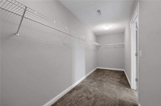 6919 156th St, Savage, MN 55378 - walk in closet featuring carpet flooring