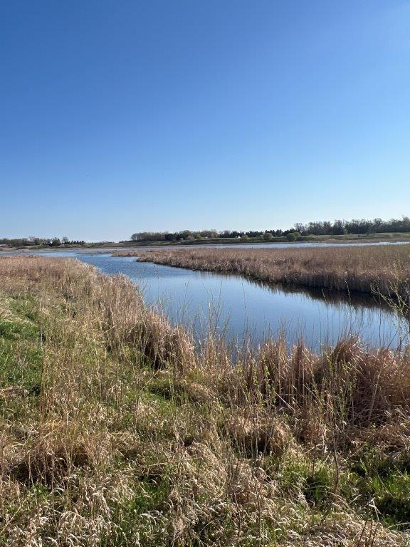 60351 340th St, Artichoke Twp, MN 56221