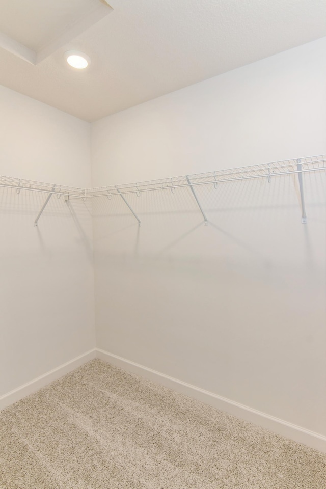 914 Milborne Ln NW, Rochester, MN 55901 - walk in closet featuring carpet