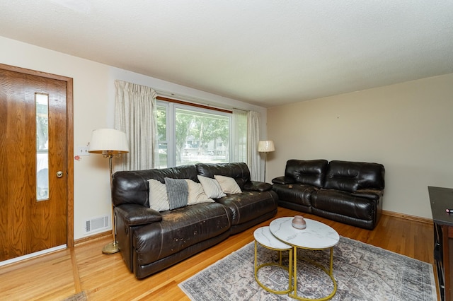 2208 17th Ave NW, Rochester, MN 55901 - living room with wood finished floors and baseboards