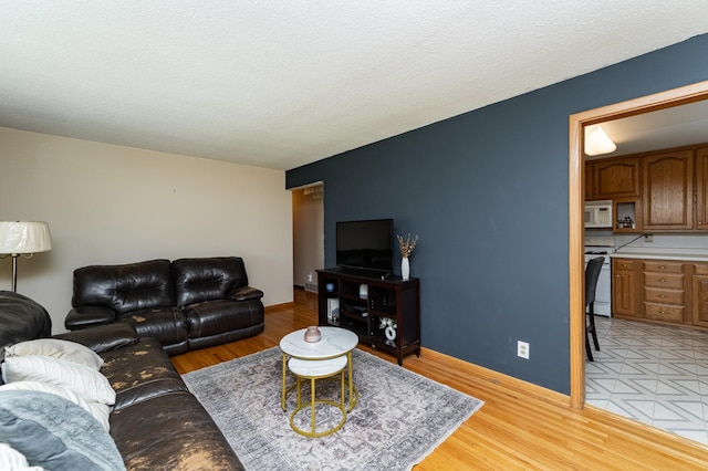 2208 17th Ave NW, Rochester, MN 55901 - living area with light wood-style flooring