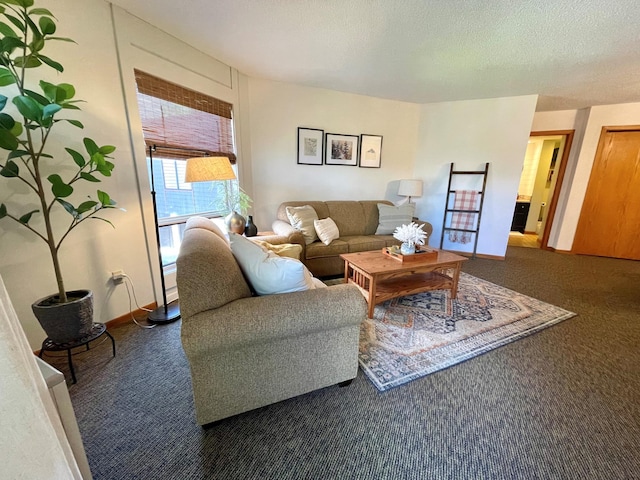 128 Bridge Run Ln Unit B, Lutsen Twp, MN 55612 - living area featuring carpet floors, baseboards, and a textured ceiling