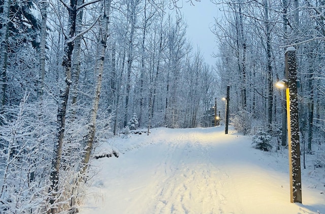 128 Bridge Run Ln Unit B, Lutsen Twp, MN 55612 - view of home's community