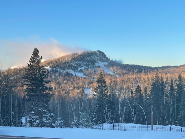 128 Bridge Run Ln Unit B, Lutsen Twp, MN 55612 - view of mountain background featuring a heavily wooded area