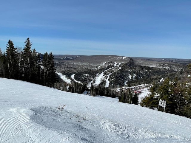128 Bridge Run Ln Unit B, Lutsen Twp, MN 55612 - mountain view