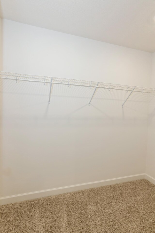 5051 52nd Ave NW, Rochester, MN 55901 - spacious closet with carpet floors