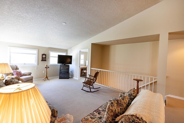 1120 Southridge Rd, New Ulm, MN 56073 - living area with carpet, lofted ceiling, a textured ceiling, and baseboards
