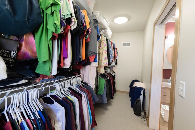 1120 Southridge Rd, New Ulm, MN 56073 - spacious closet featuring carpet flooring