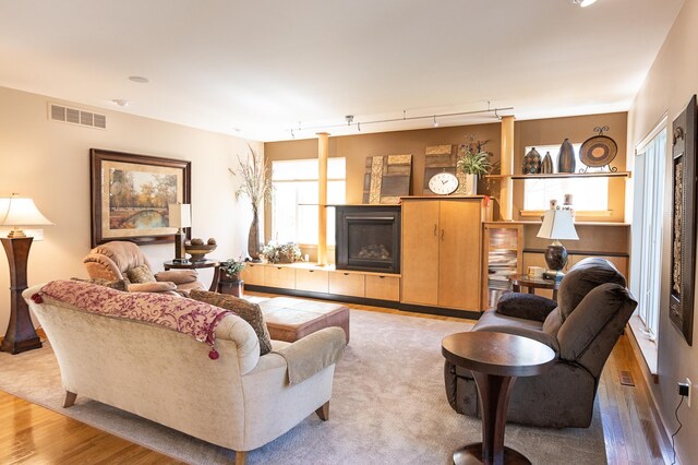 1120 Southridge Rd, New Ulm, MN 56073 - living room featuring healthy amount of natural light, a fireplace, wood finished floors, and rail lighting