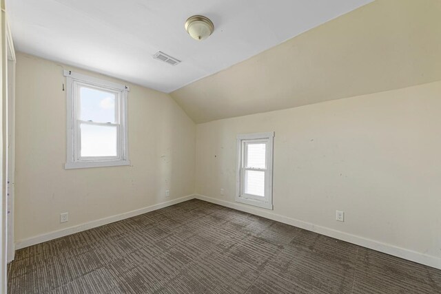 517 1st Ave NW, Winnebago, MN 56098 - additional living space with lofted ceiling, carpet, and baseboards