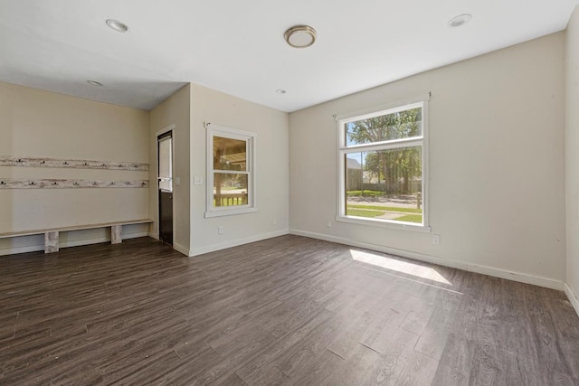 517 1st Ave NW, Winnebago, MN 56098 - spare room featuring dark wood-style floors, baseboards, and recessed lighting