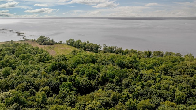 11095 Ottertail Point Dr NW, Cass Lake, MN 56633
