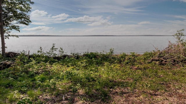 11095 Ottertail Point Dr NW, Cass Lake, MN 56633