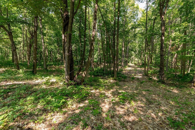 11095 Ottertail Point Dr NW, Cass Lake, MN 56633