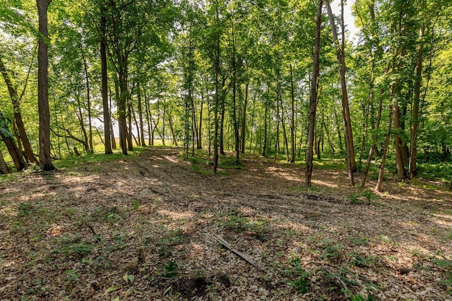 11095 Ottertail Point Dr NW, Cass Lake, MN 56633