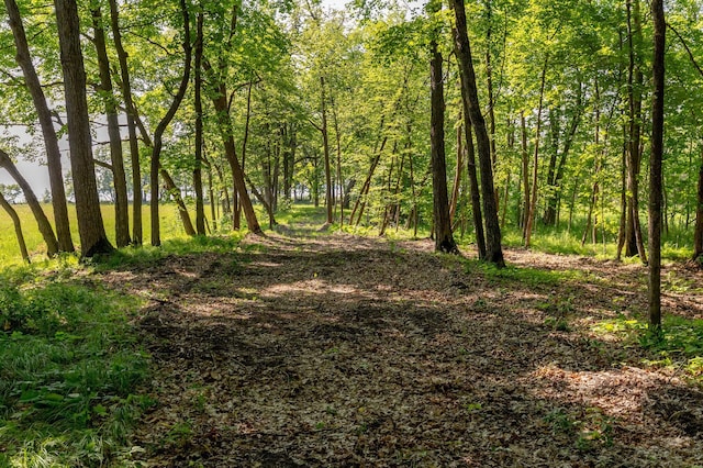 11095 Ottertail Point Dr NW, Cass Lake, MN 56633