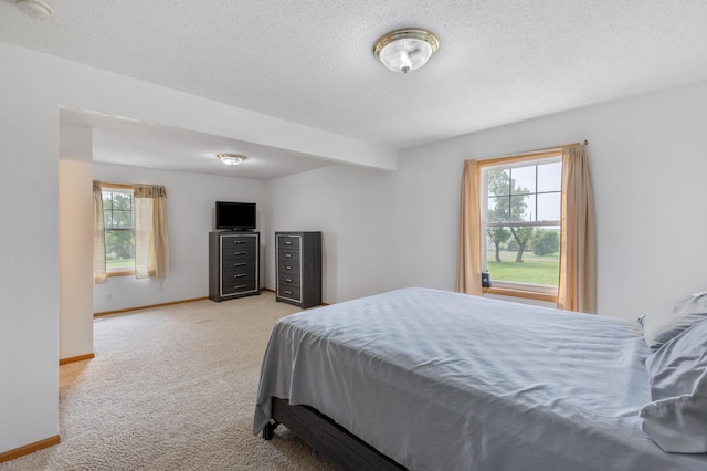 8187 230th St E, Faribault, MN 55021 - bedroom with carpet, multiple windows, baseboards, and a textured ceiling