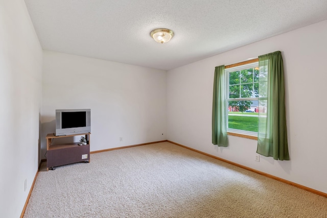 8187 230th St E, Faribault, MN 55021 - spare room with carpet flooring, baseboards, and a textured ceiling