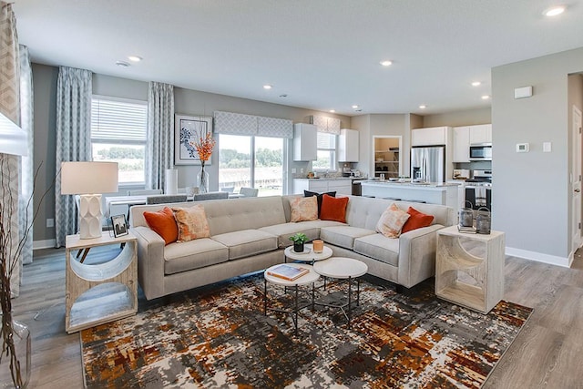 1025 Shoreview Dr, Jordan, MN 55352 - living room featuring light wood-style flooring, recessed lighting, and baseboards