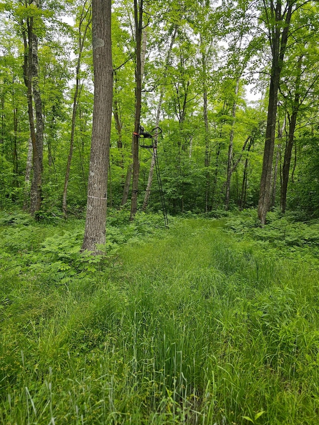 0000 280th Pl, Glen Twp, MN 56431