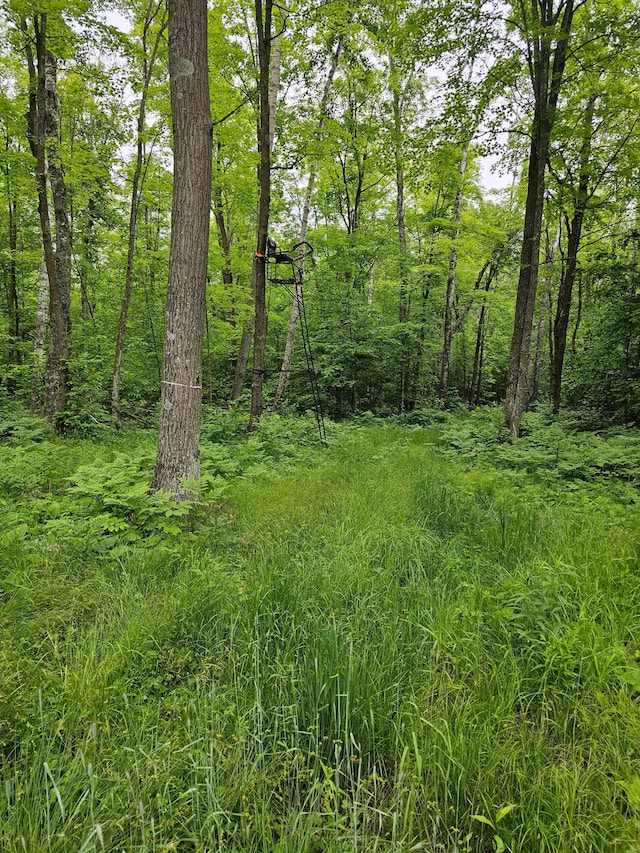 0000 280th Pl, Glen Twp, MN 56431