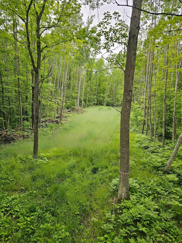 0000 280th Pl, Glen Twp, MN 56431