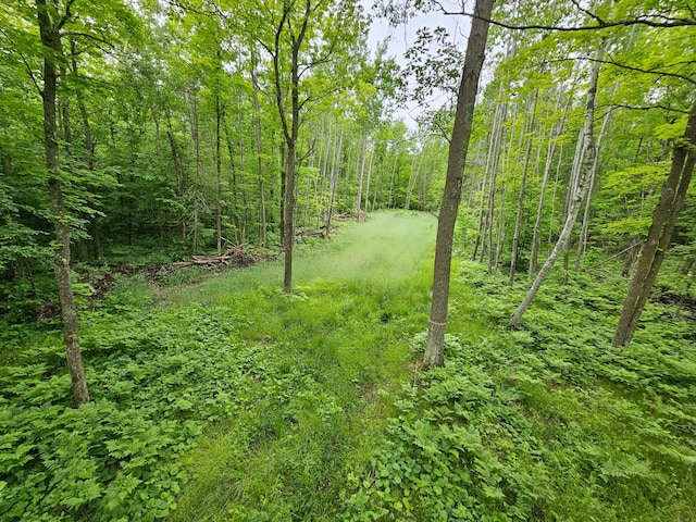 0000 280th Pl, Glen Twp, MN 56431