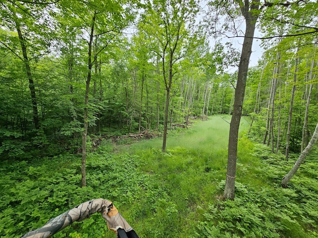 0000 280th Pl, Glen Twp, MN 56431
