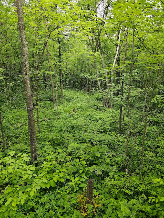 0000 280th Pl, Glen Twp, MN 56431