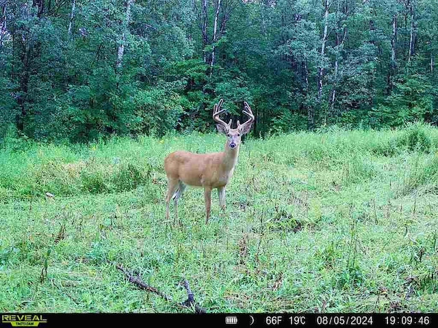 0000 280th Pl, Glen Twp, MN 56431