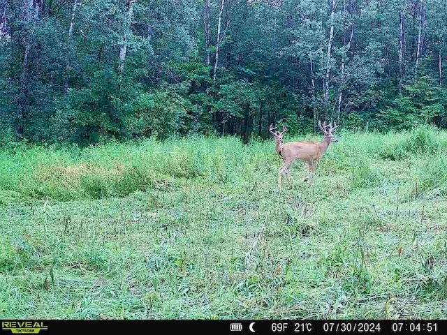 0000 280th Pl, Glen Twp, MN 56431