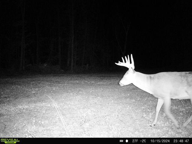 0000 280th Pl, Glen Twp, MN 56431
