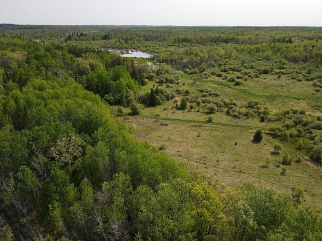 67237 County Road 230, Effie, MN 56639 - photo 1