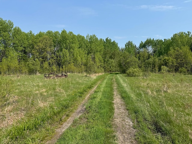 67237 County Road 230, Effie, MN 56639 - photo 3