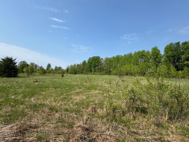 67237 County Road 230, Effie, MN 56639 - photo 4