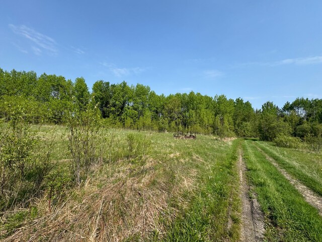 67237 County Road 230, Effie, MN 56639 - photo 5