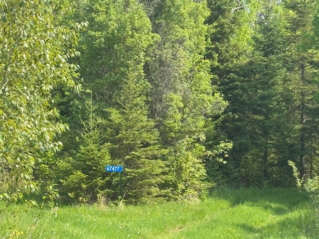 67237 County Road 230, Effie, MN 56639 - photo 7