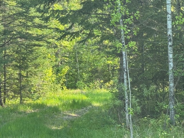 67237 County Road 230, Effie, MN 56639 - photo 8