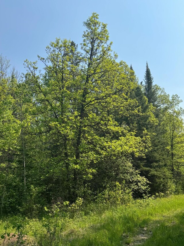 67237 County Road 230, Effie, MN 56639 - photo 9
