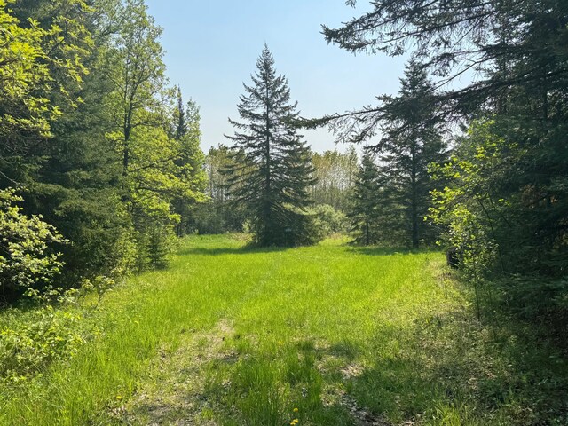 67237 County Road 230, Effie, MN 56639 - photo 10