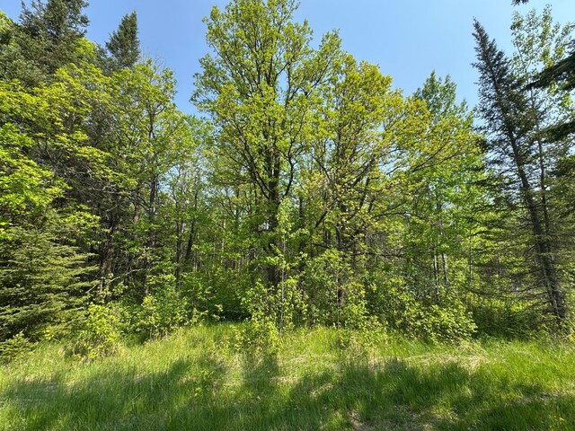 67237 County Road 230, Effie, MN 56639 - photo 11