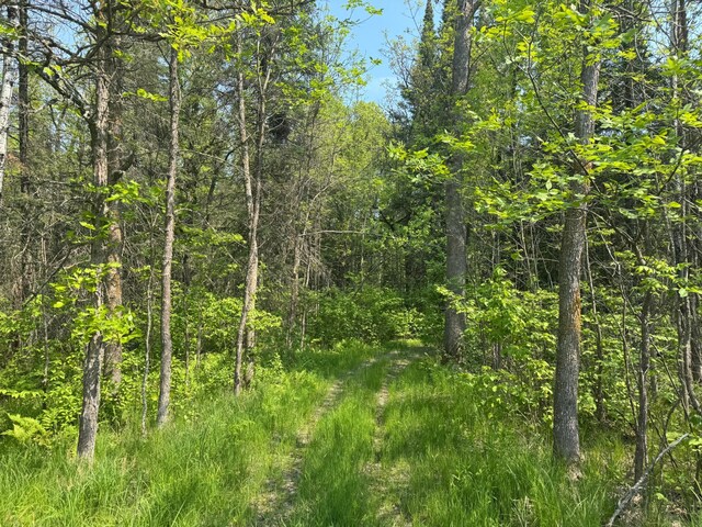67237 County Road 230, Effie, MN 56639 - photo 12