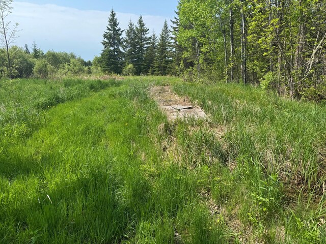 67237 County Road 230, Effie, MN 56639 - photo 13