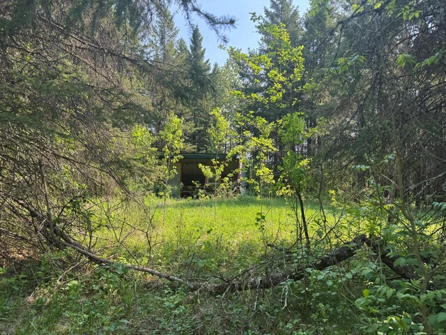 67237 County Road 230, Effie, MN 56639 - photo 14