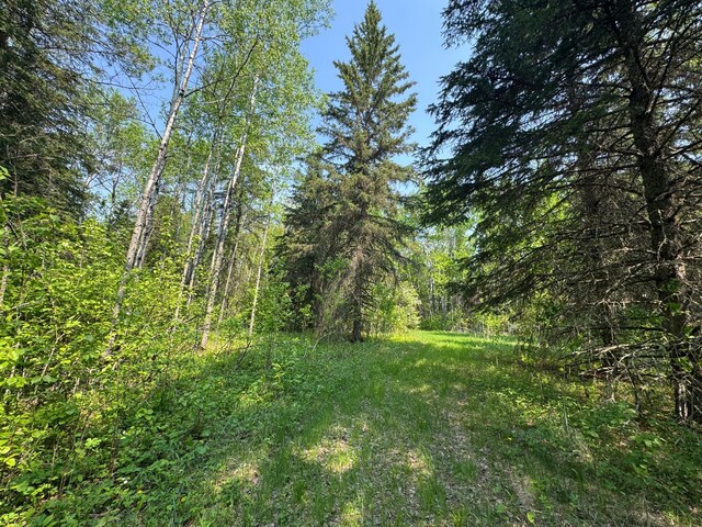 67237 County Road 230, Effie, MN 56639 - photo 15