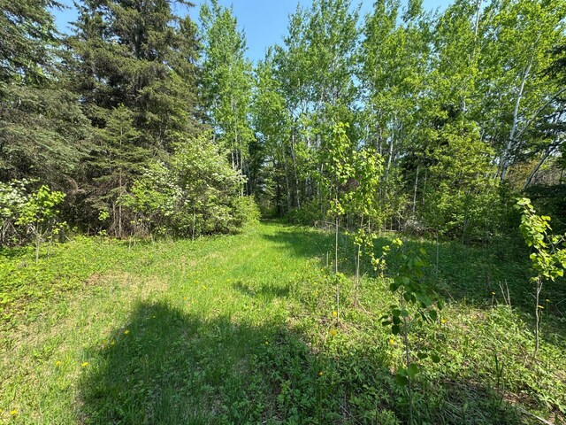 67237 County Road 230, Effie, MN 56639 - photo 16