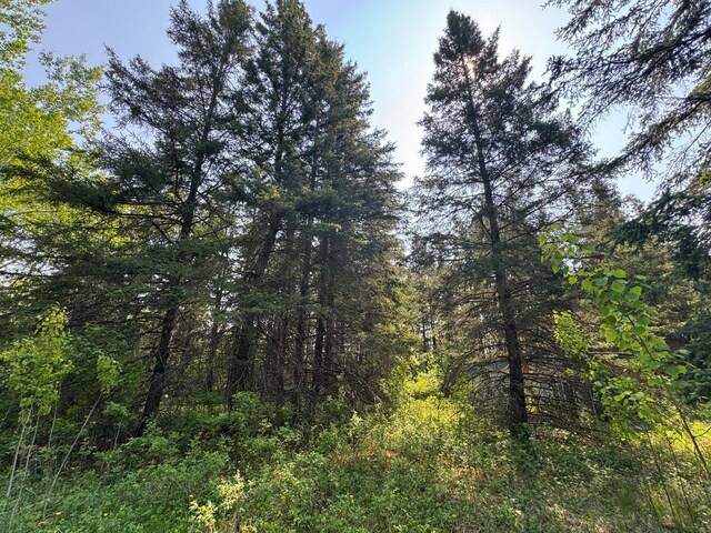 67237 County Road 230, Effie, MN 56639 - photo 17
