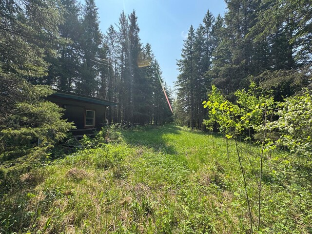 67237 County Road 230, Effie, MN 56639 - photo 18