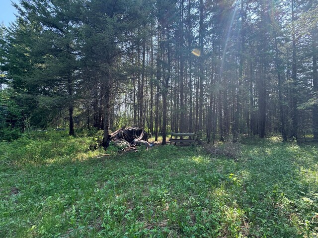 67237 County Road 230, Effie, MN 56639 - photo 25